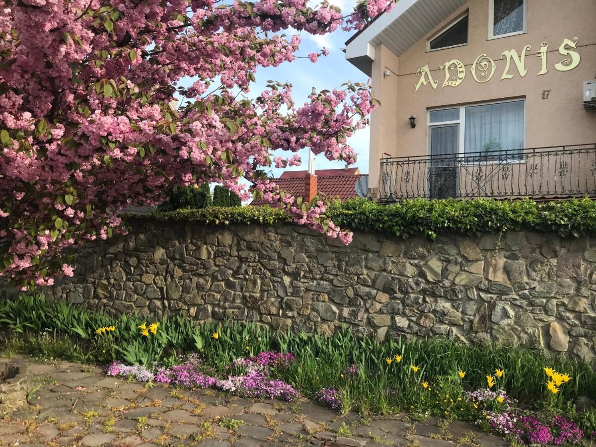 Adonis Otel Ujgorod Dış mekan fotoğraf