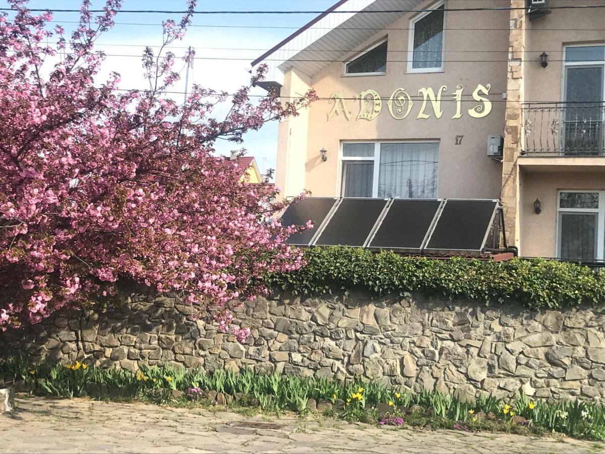 Adonis Otel Ujgorod Dış mekan fotoğraf